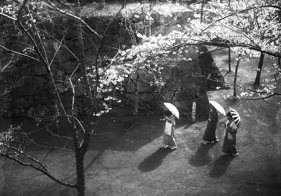 img164.jpg