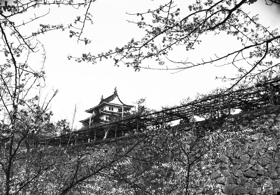 img201.jpg